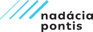 Logo s tromi diagonálnymi modrými čiarami vľavo a nápisom „nadácia pontis“ v malých čiernych písmenách vpravo, umiestnené na svetlosivom pozadí.